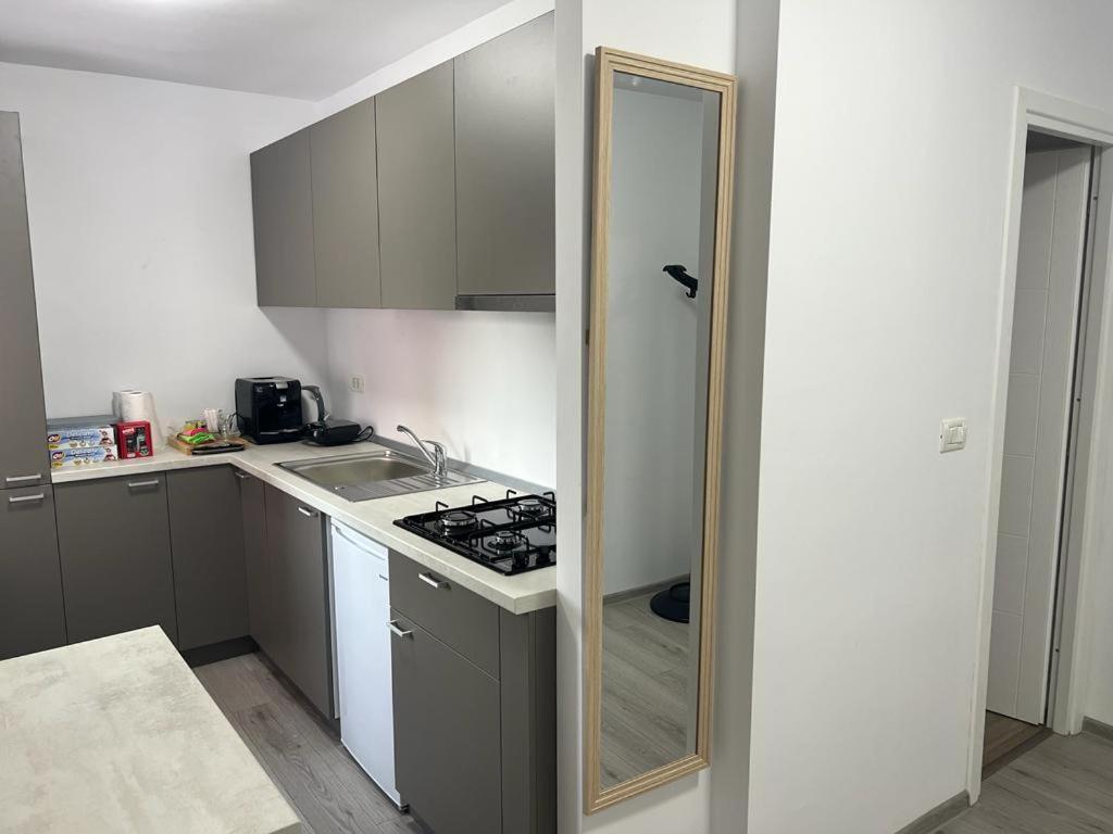 Smp Lipovei * Timisoara